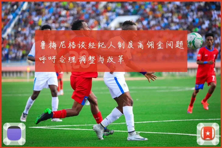 鲁梅尼格谈经纪人制度高佣金问题呼吁合理调整与改革