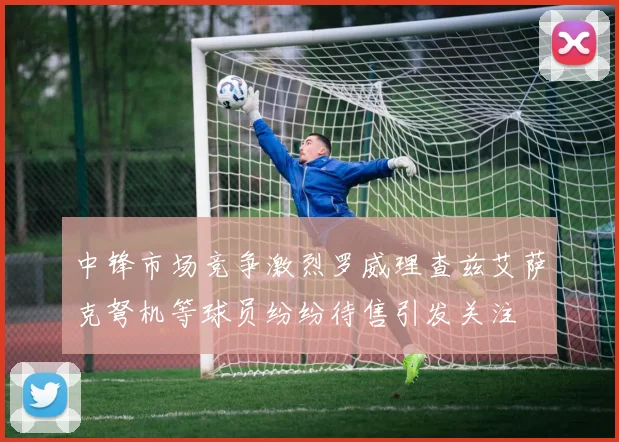 中锋市场竞争激烈罗威理查兹艾萨克弩机等球员纷纷待售引发关注