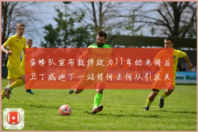 黄蜂队宣布裁掉效力11年的老将后卫丁威迪下一站将何去何从引发关注