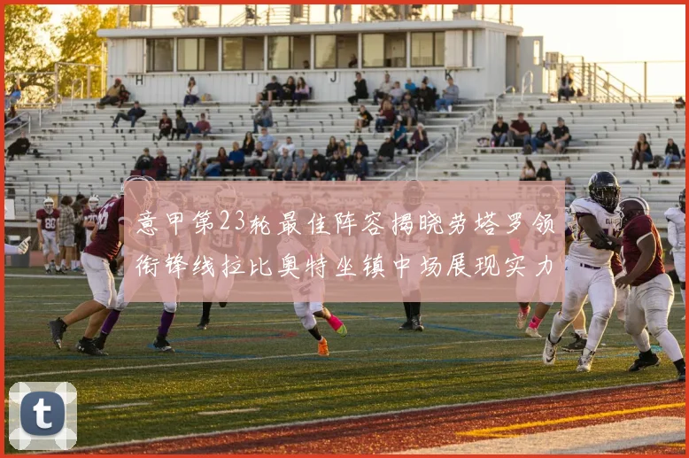 意甲第23轮最佳阵容揭晓劳塔罗领衔锋线拉比奥特坐镇中场展现实力